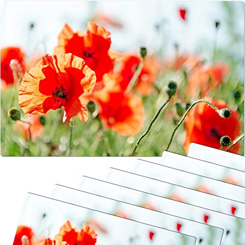 matches21 Lot de 8 Sets de Table en Plastique lavables Motif Coquelicots 43 x 28,5 cm