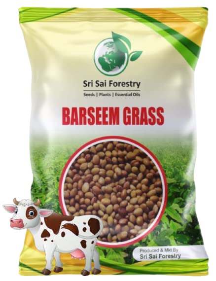SRI SAI FORESTRY Berseem Grass Seeds 7000 Seeds Pack | King of Fodder Barseem Grass Seed (B0C2N8YXS9) Amazon Price History, Amazon Price Tracker