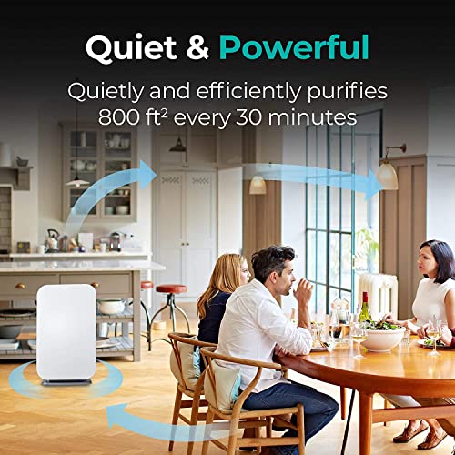 Alen 45I Air Purifier, Quiet Air Flow For Large Rooms, 800 Sqft, Air Cleaner For Allergens, Dust, Mold, Pet Odors With Long Filter Life #TOP1