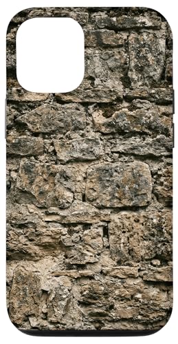 �G�C�W�h�~�j�}���A�[�L�e�N�`���V���v���O���t�B�b�N �X�}�z�P�[�X iPhone 12/12 Pro �p