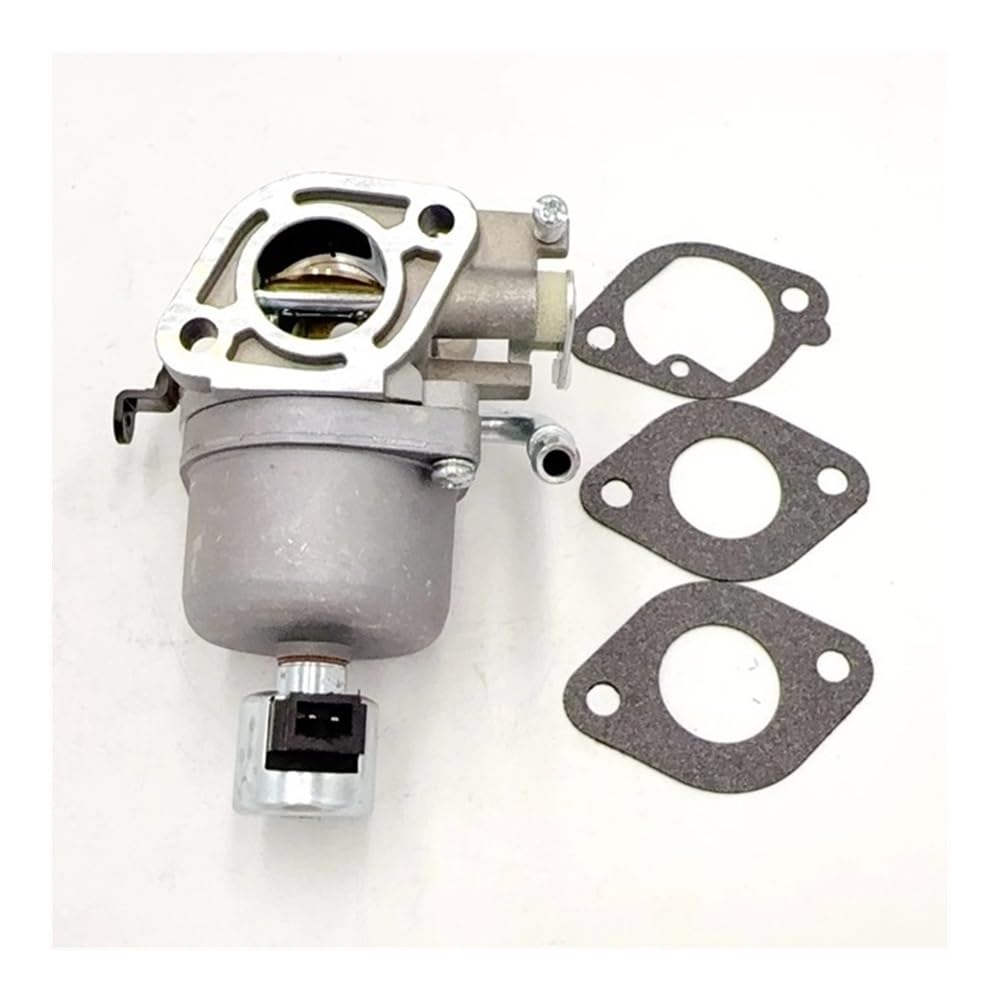 Carburateur pour Briggs & Stratton 407577 stopper les fuites essence et fumées noires