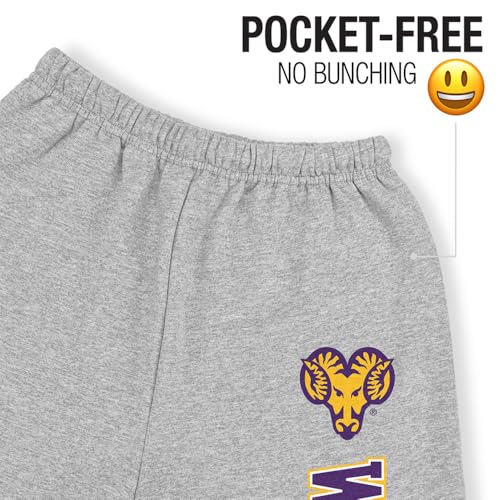 Official Collegiate Vertical Text Mens Jogger Sweatpants Collection 23