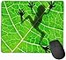 Produktbild Whecom Gaming Mauspad Schwarz, Biology Animal Frog Leaf Funny Mouse Pad with Stitched Edge Mouse Mat Non-Slip Rubber Base Office Mousepad for Laptop, Computer & PC, Mouse Pads