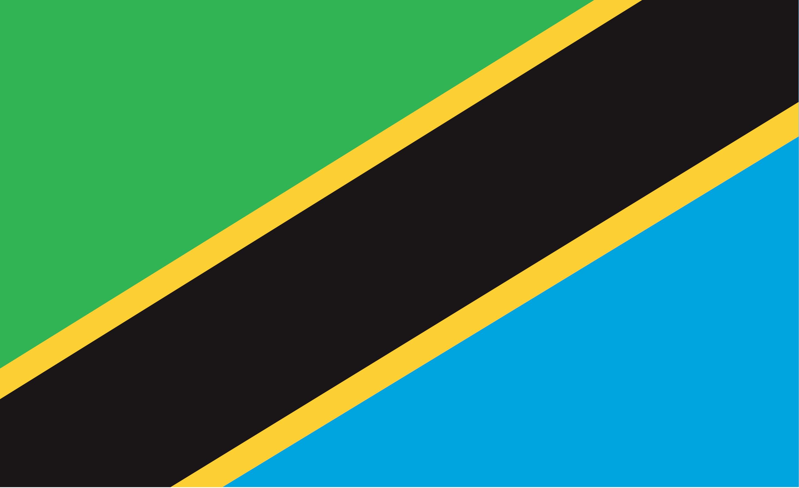 Drapeau national tanzanien géant de 335x200 cm pour pavoisement