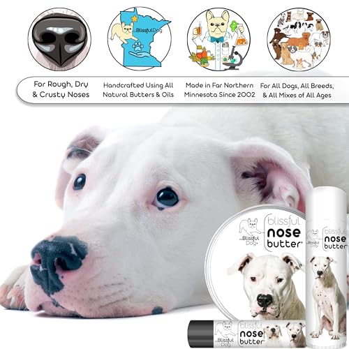 Image of The Blissful Dog Dogo Argentino Unscented Nose Butter - Dog Nose Butter, 16 Ounce