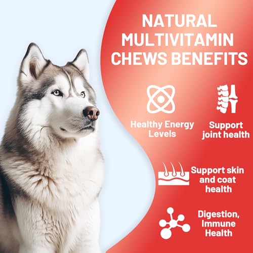 Noble-Beast-Dog-Multivitamin-Supplements-Soft-Chews-with-Probiotics-Glucosamine-Chondroitin-Joint-Support-Digestive-Enzymes-Immune-Support-Vitamins-for-Skin-Coat-Chicken-Flavor-120-Count