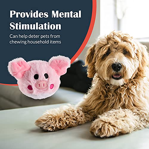 Flourish Pets 2 In 1 Tough Durable Dog Chew Toy With Non-Toxic Bpa Free Rubber And Double Stitched Soft Fabric Exterior Squeaky Indestructible Dog Toy For Aggressive Chewers - Pig Prickles (4″) #TOP5