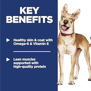 Hill's Science Diet Adult 1-6, Adult 1-6 Premium Nutrition, Dry Dog Food, Chicken & Barley, 5 lb Bag Hills Science Diet Adult 1 6 Adult 1 6 Premium Nutrition Dry Dog Food Chicken Barley 5 lb Bag