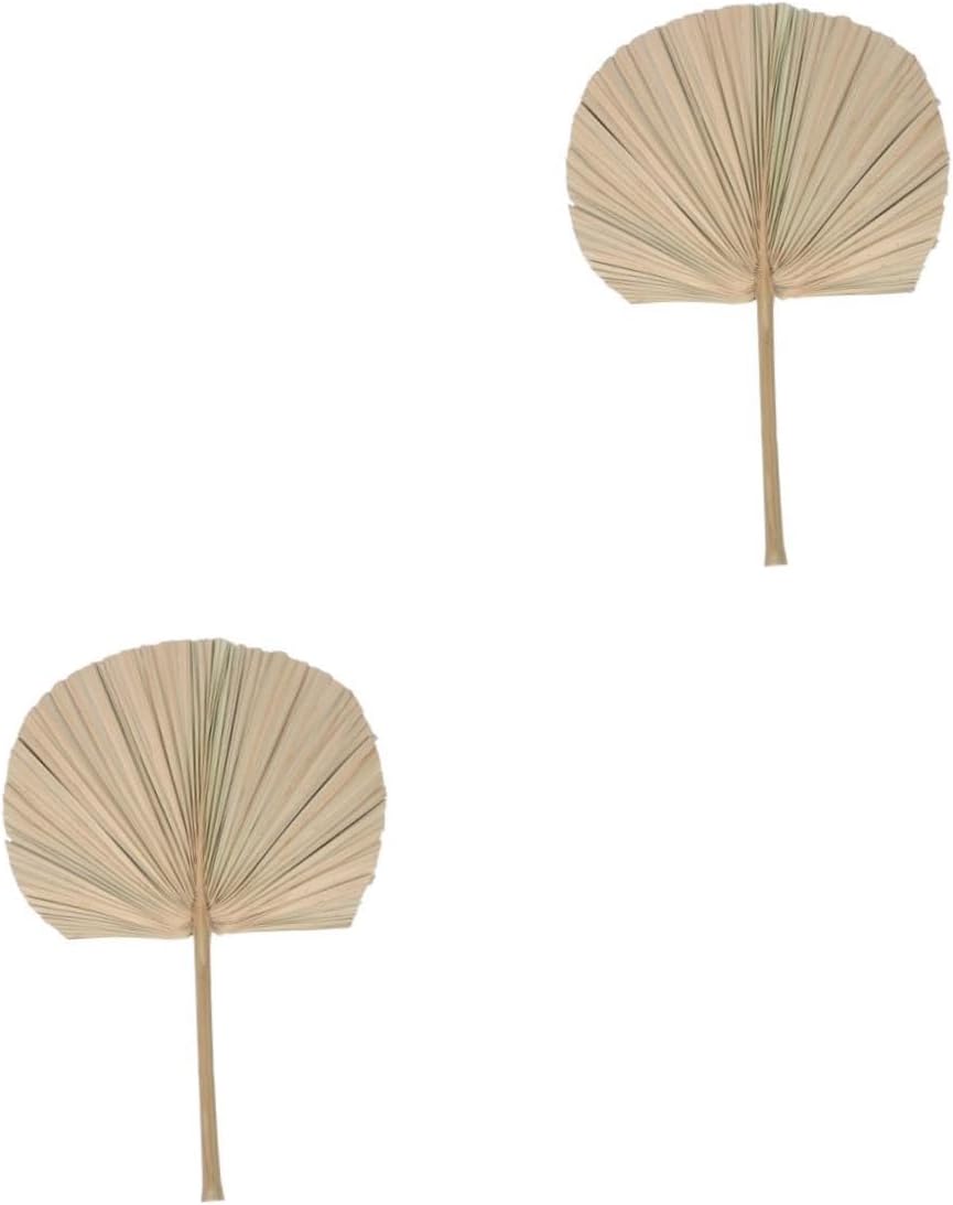 NOLITOY Sunflower Leaf Dried Palm Leaf Decoration Dried Palm Fan Leaf Decorations Beach Plant Coconut Natural