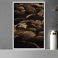 Framed Canvas Wall Art Fur Pattern Animals Expressive Farmhouse/Country Goat Living Room Multicolor Photography - 16x24 inches