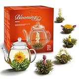 Set regalo di fiori di tè con teiera di vetro da 500 ml e tè bianco 6x - regalo per Natale 1 set regalo 7 pezzi (confezione da 1)