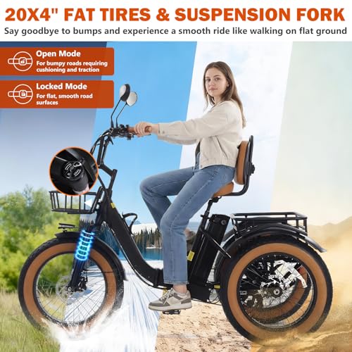 Electric Tricycle for Adults 750W(Peak 1350W) 48V15.6Ah