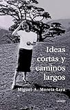 Ideas cortas y caminos largos: 7 (Langre)