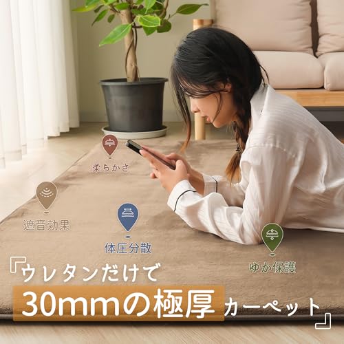 ＨＡＲＵＭＩＮ 極厚30mm カーペット ラグ 厚手 約3畳 ラグマット 絨毯 無地 防音 抗菌 防臭 防ダニ 低ホルム 北欧 おしゃれ 滑り止め付き 床暖房ホットカーペット対応 こたつ敷きマット 高反発 ゆか保護 200×250cm ブラウン [2]