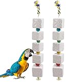 2 Pack Large Bird Chewing Toy, Parrot Beak Grinding Calcium Stone with Bells, Bird Cage Accessories, Cage Toys for Cockatiel Parakeet Parrot Budgies Rat Hamster Chinchilla Rabbit Bunny African Grey -  Oooct