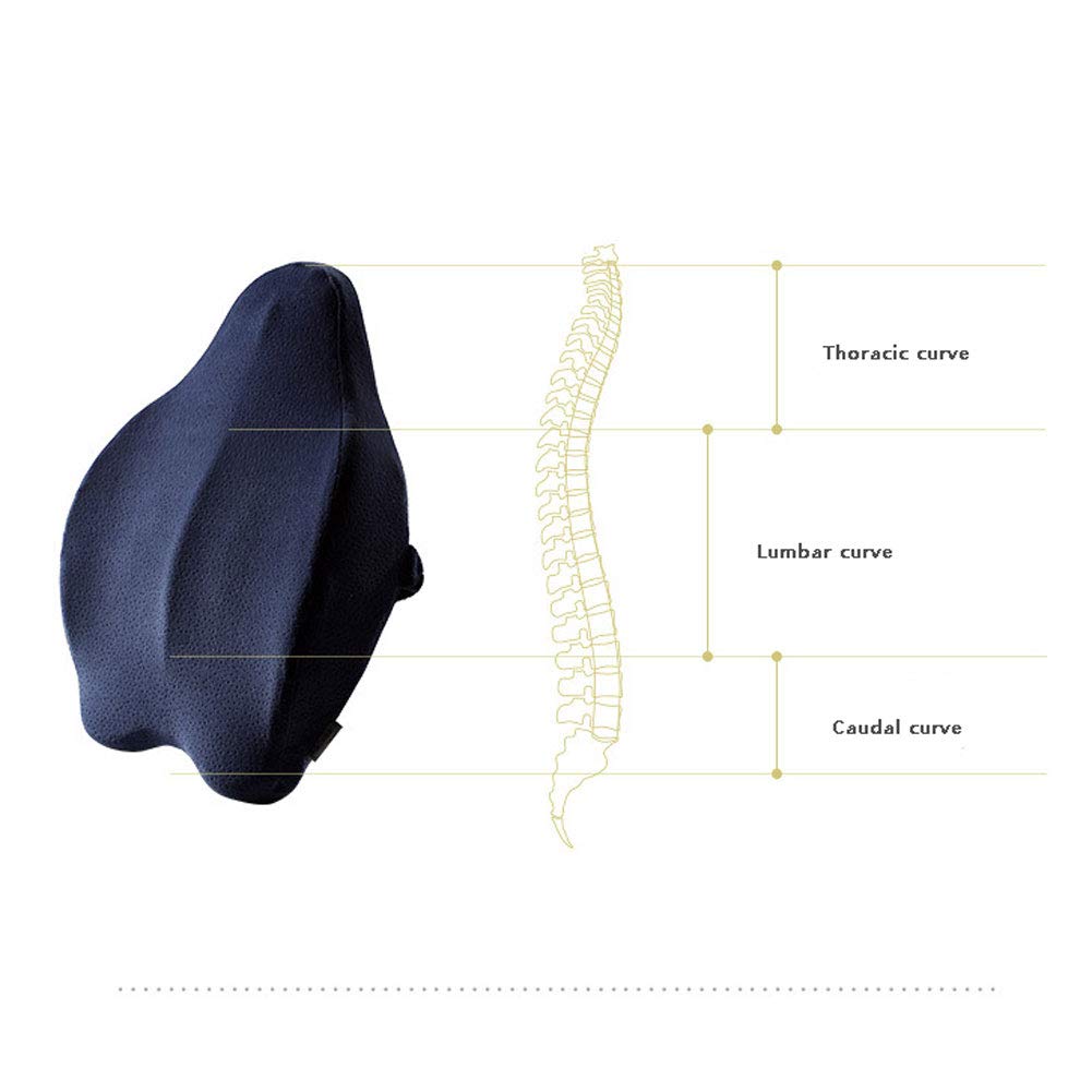 NANANA Cojin Lumbar Respaldo Lumbar para Silla Oficina Coche, Memoria de Forma Ergonómico, para y Prévient Dolor del Lumbares, 53X43x10cm,Rosado,b