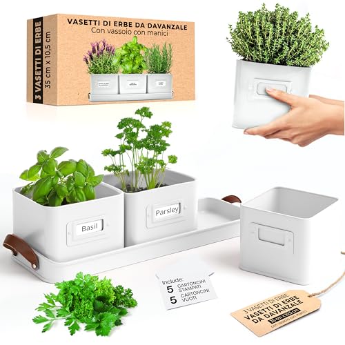 Green Thumbz Macetas Decorativas Interior con Macetero Rectangular con Mangos de...