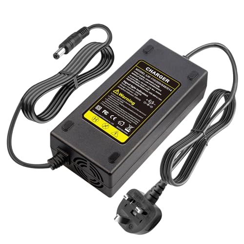 48V 2A Electric Bike Lithium Battery Charger for 48V 2A 13S Li-on Battery 54.6V E-bike Electric Scooter Power Supply DC 5.5mm x 2.1mm