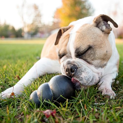 image for KONG Extreme Dog Toy - Fetch & Chew Toy - Treat-Filling Capabilities &