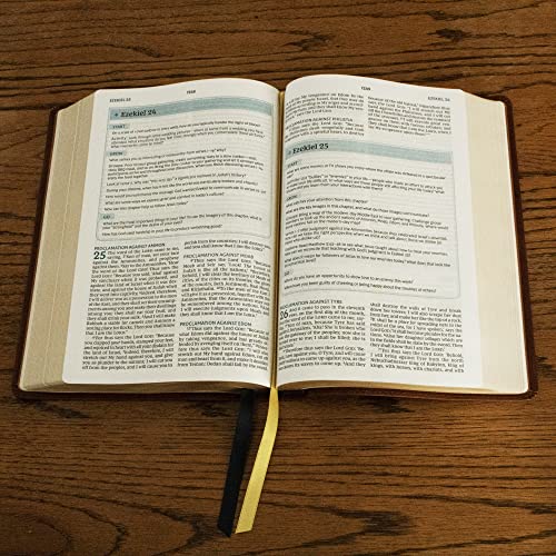 Nkjv, the Bible Study Bible, Hardcover, Comfort Print: A Study Guide for Every Chapter of the Bible