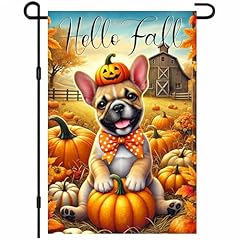 Dog Pumpkin Hat Hello Fall