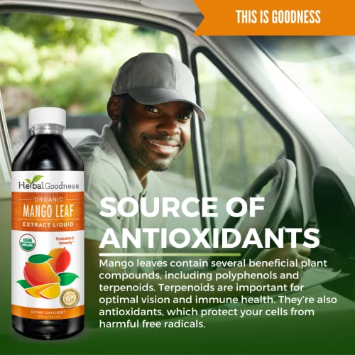 Mango Leaf Extract Liquid Organic - Mangifera Indica - Metabolism, Gut, Immunity, Digestive Support, General Wellness - Natural Supplements -12Oz Btl - Kosher - Made In The Usa - Herbal Goodness #TOP6
