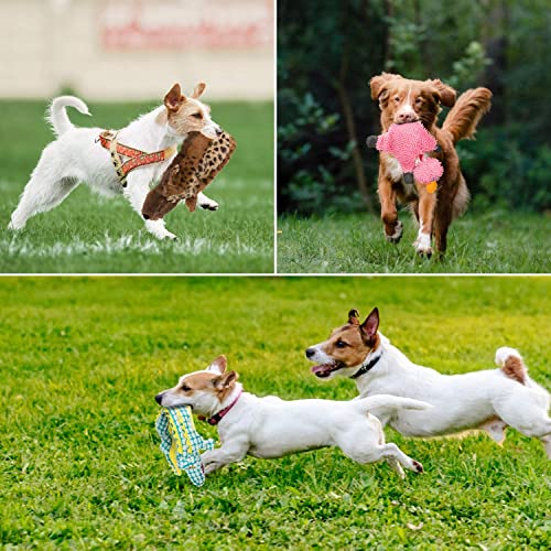 Azssmuk Dog Squeaky Toys No Stuffing, Plush Pet Toy Puppy Chew Toys For Small Large Animals Set (3Pcs) #TOP6