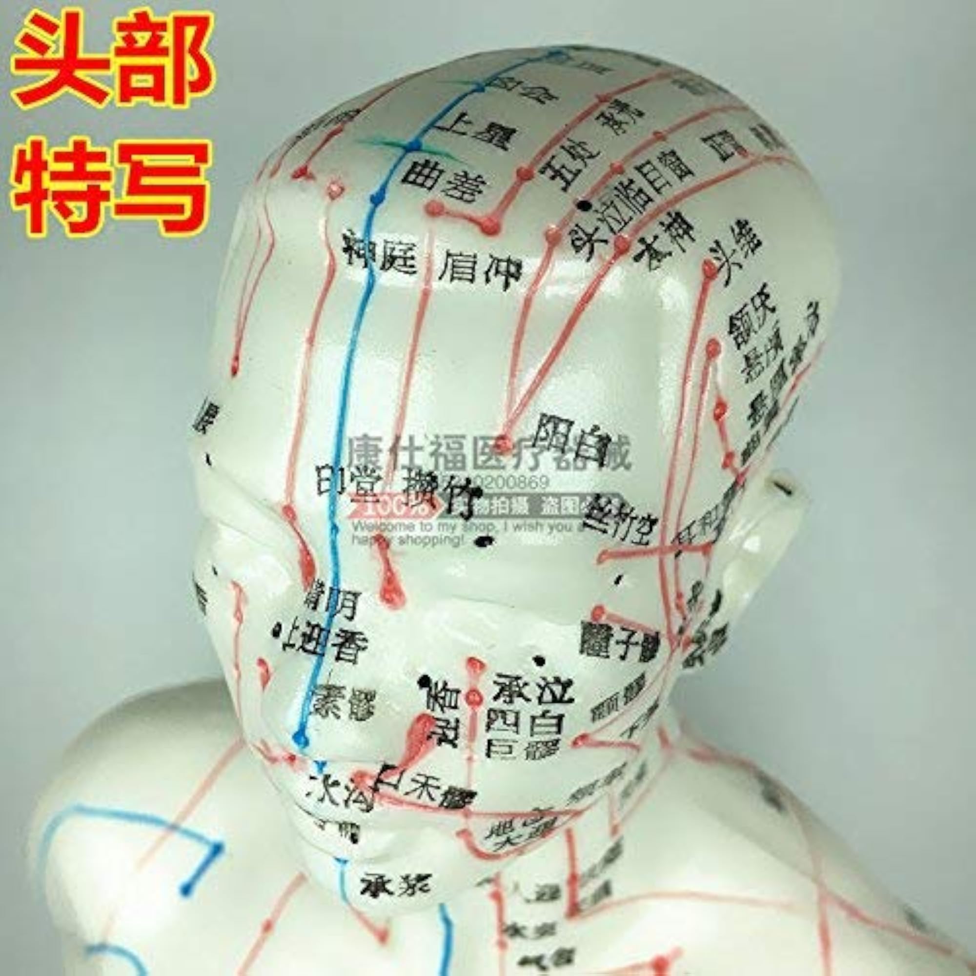 ACP Acupressure Human Body Model, 50cm