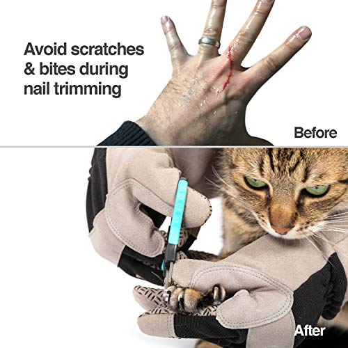 PetFusion Multipurpose Pet Glove for Grooming, Trips to Vet, Handling. [Puncture & Scratch Resistant, Water Resistant]. 12 Month Warranty for Manufacturer Defects Grey - Thumbnail 3