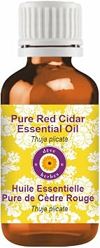 deve herbes Pure Red Cidar Essential Oil Thuja plicata Natural Therapeutic Grade Steam Distilled 50ml 1.69 oz