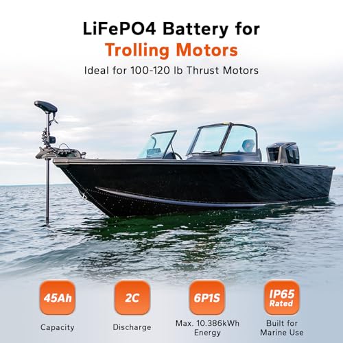 Litime 36V Lithium Battery Closeup