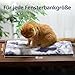 Petace Fensterliege für Katzen Selbstwärmende katzenbett Fensterbank rutschfest, Selbstheizende katzendecke für Fenster 60x24cm, weich und waschbarer Bezug grau