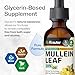 BIO KRAUTER Mullein Leaf Extract for Lungs 2 Fl. Oz - 28 Days of Supply - Pure Mullein Drops for Lung Cleanse & Detox - Vegan Respiratory Supplements - Non-GMO, No Sugar & Alcohol