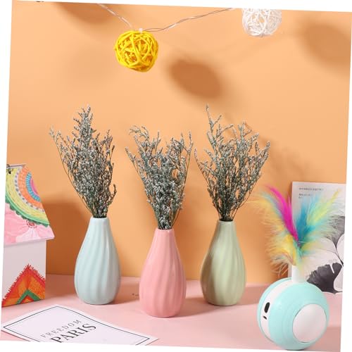 Ramo de flores secas Gypsophila para decoración miniatura 5