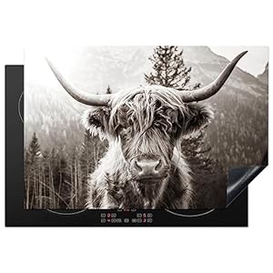 KitchenYeah Herdabdeckung Hochlandrind Foto 77x51 cm