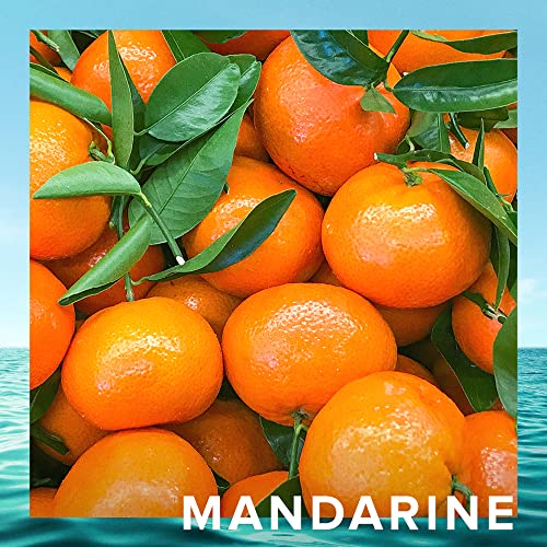 Cristiano Ronaldo - Cr7 Origins Eau De Toilette, 3.4Oz Spray For Men #TOP5