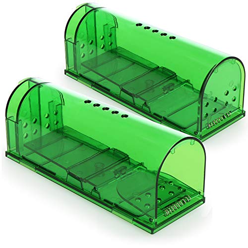 COM-FOUR® 2X Trampa amigable con los Animales -Trampa para roedores no tóxica-Fácil de Usar con Orificios de ventilación (2 Stück - Lebendfalle grün)