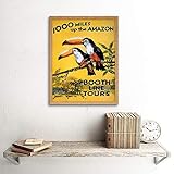 IMG-1 amazon toucan river brazil south