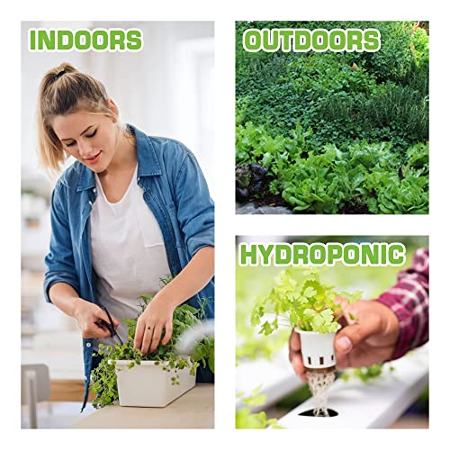 Supreme Set Of Vegetable, Hot & Sweet Pepper, Medicinal Herb Tea Seeds For Planting Indoor, Outdoor And Hydroponic - Non-Gmo, Usa Grown - 8500+ Heirloom Seeds #TOP5