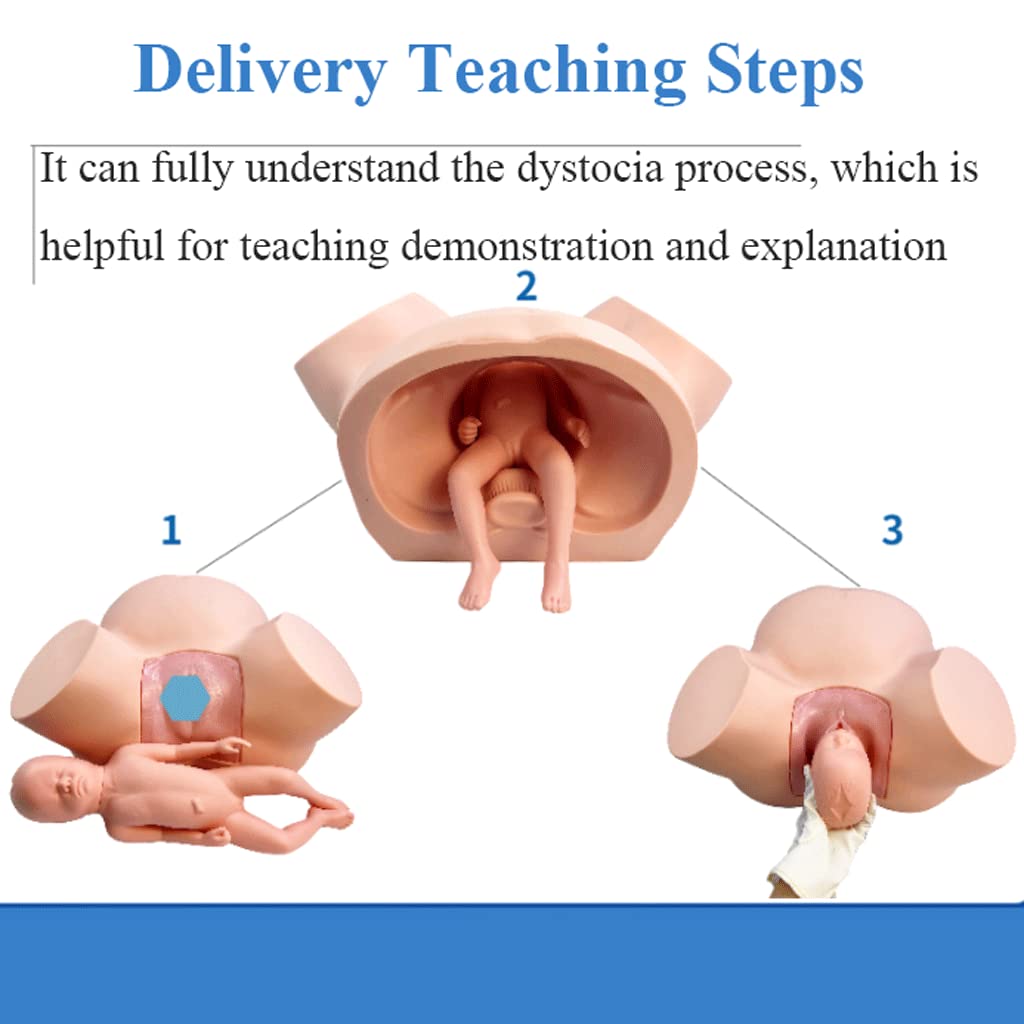 PLbsE Demonstration Female Childbirth Manikin Advanced Midwifery Training Model Standard Childbirth Simulator for Medical Teaching