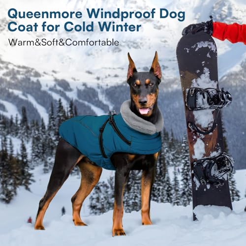 Queenmore Hundejacke Kleine Hunde Winter, Hundemantel Reflektierend Wasserdicht, Hunde Fleecemantel für Dackel/Cockapoo/Spielzeugpudel/Welpen(Coelinblau, S)