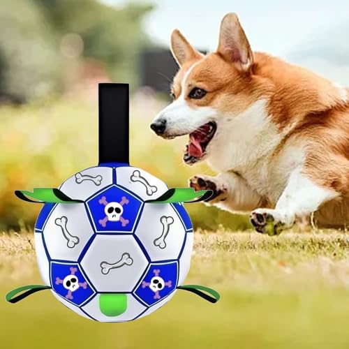 Ballon de foot pour chien jouet de rassemblement interactif durable