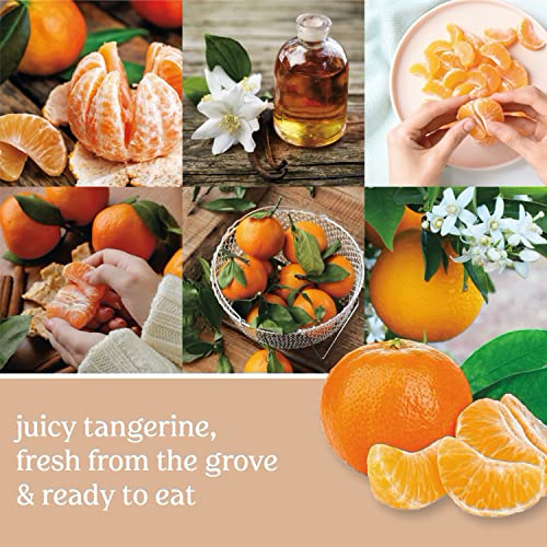 Yankee-Candle-Tangerine-Vanilla-Scented-Signature-20oz-Large-Jar-2-Wick-Candle-Over-60-Hours-of-Burn-Time Yankee Candle Tangerine Vanilla Scented Signature 20oz Large Jar 2 Wick Candle Over 60 Hours of Burn Time