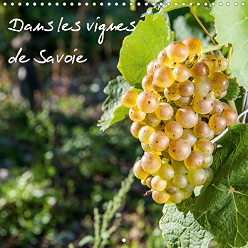 Dans les vignes de Savoie (Calendrier mural 2020 300 × 300 mm Square): Les vignes au pays de Savoie (Calendrier mensuel…