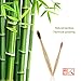 yuantongshun Bamboo Toothbrush,10 Pack Natural Biodegradable Bamboo Toothbrushes, BPA-Free Eco-Friendly Soft Bristles Charcoal Toothbrushes (Family Color)