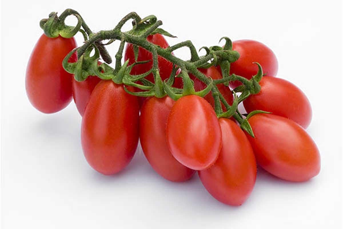 Cherry Plum Tomato Red pack of 250g Morocco