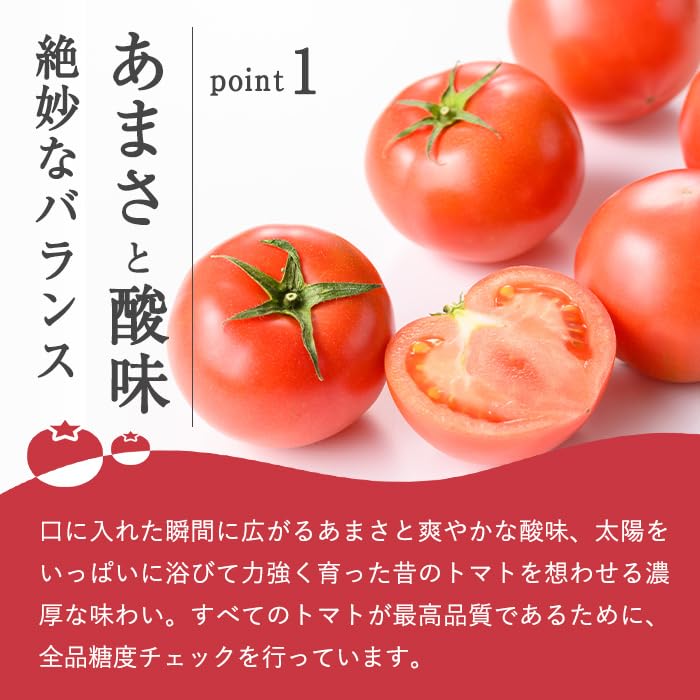 Amazon.co.jp: 【先行予約】アメーラトマト 1箱 ｜ Sサイズ（15〜16玉