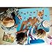 Madd Capp LiL' FOX 100 Piece Jigsaw Puzzle For Ages 5+ - 4001 - Unique Animal-Shaped Border, Poster Size when completed, Puzzle Pieces Are Oversized For Easy Handling, Includes Educational Fun Facts