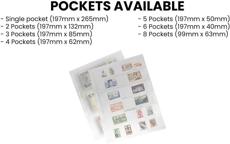 10Pcs Standard 9-Hole Transparent Single-Sided Album Inner Sheets Card Stamp Banknote Collection Album Inserts Pages for Coin Collecting and Supplies (7 Pockets)