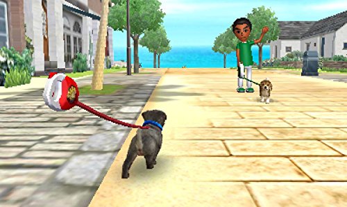 Nintendogs + cats Bouledogue Français jeu simulation 3DS Selects - 2